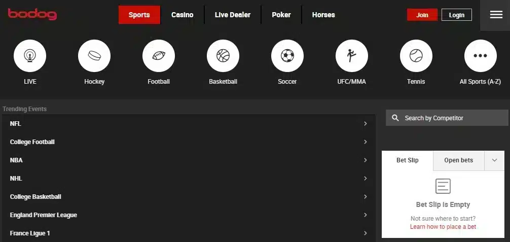 Bodog Sportsbook website screenshot