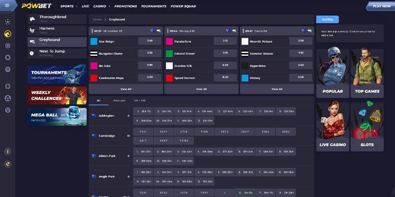 Powbet Sportsbook website screenshot